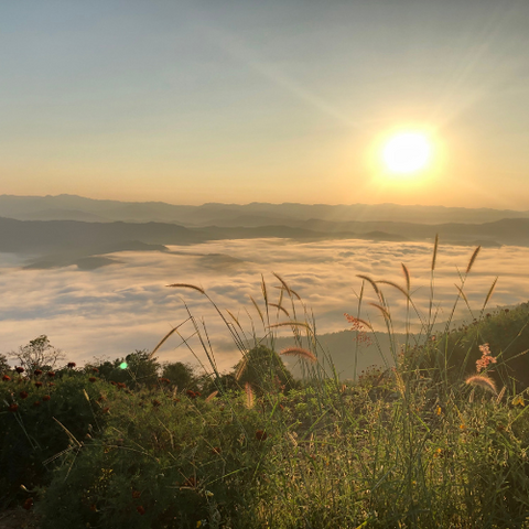 EMBRACE THE DAYLIGHT: THE VITAL IMPORTANCE OF MORNING SUNLIGHT