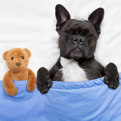 7 Benefits of A Good Night Sleep