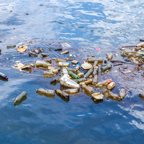3 Simple Ways To Protect The Oceans This Summer