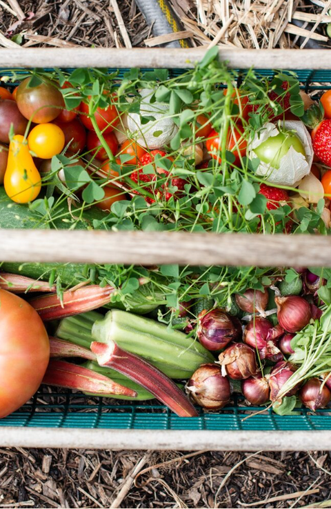 Seasonal Eating For Optimal Health