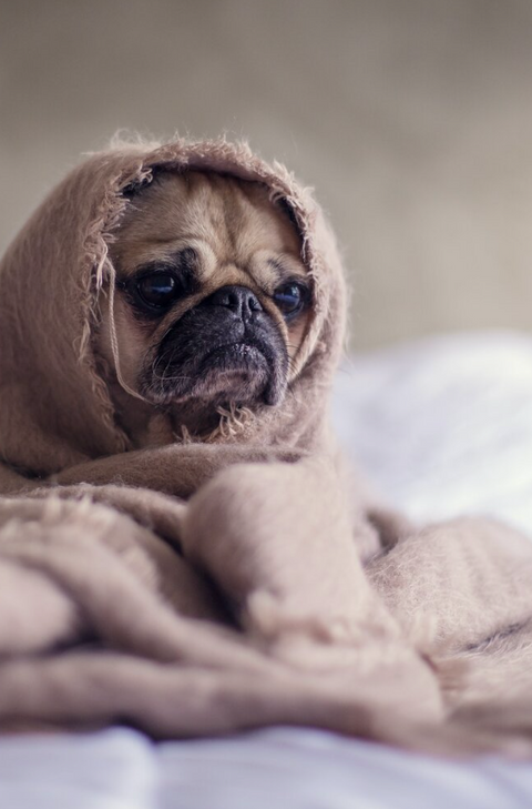 You Need Sleep, No Seriously