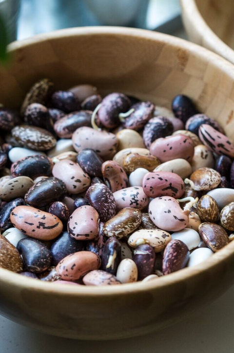 What Are Anti-Nutrients?
