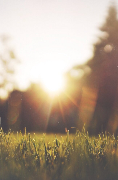 Why Morning Sun Is Vital For Our Health