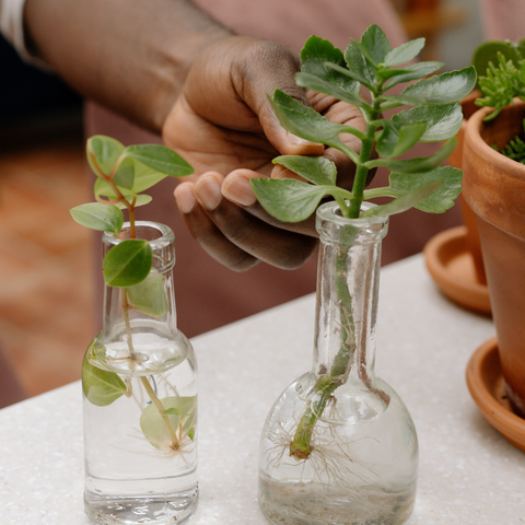 Creative Ways to Repurpose Trash