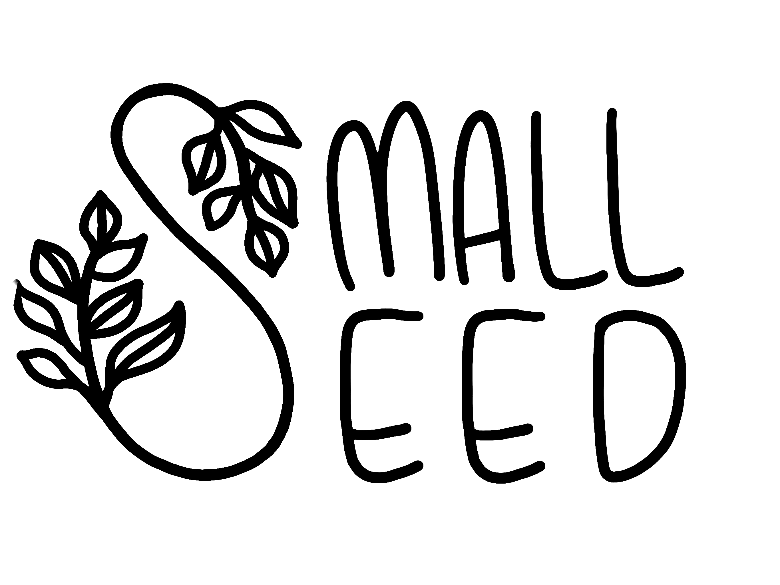 Small Seed Bar